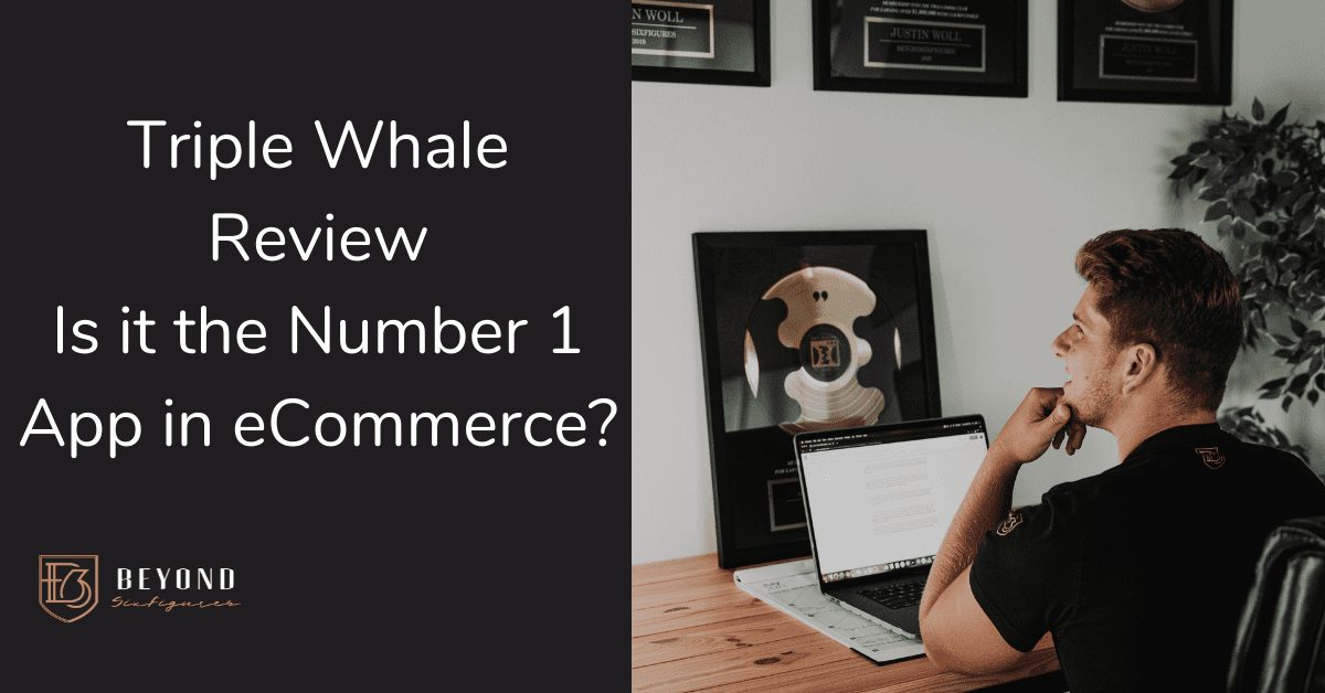 Triple Whale review featured image